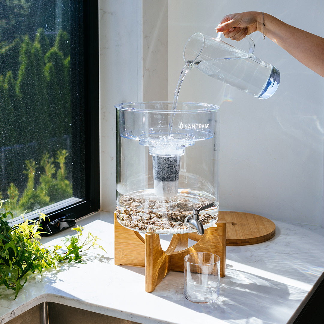 Someone filling a Santevia Glass Water System in a bright kitchen