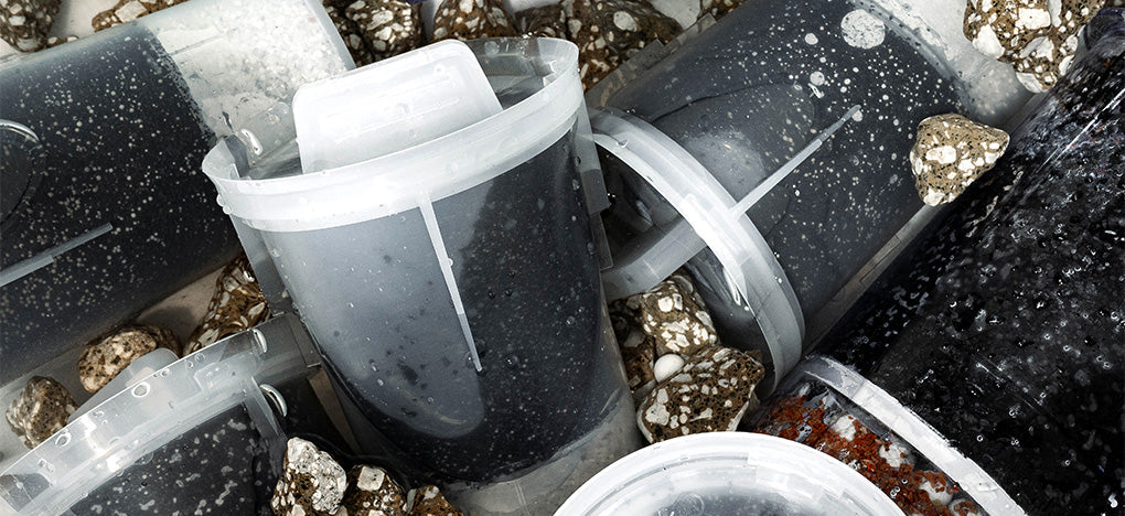 Closeup of Santevia Fluoride, 5-stage, and MINA Pitcher Filters