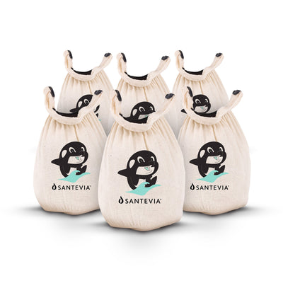 The Bath Filter 6-pack