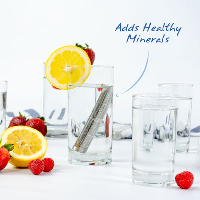 The Santevia Water Bottle filter in a glass with a slice of lemon, strawberries and raspberries.