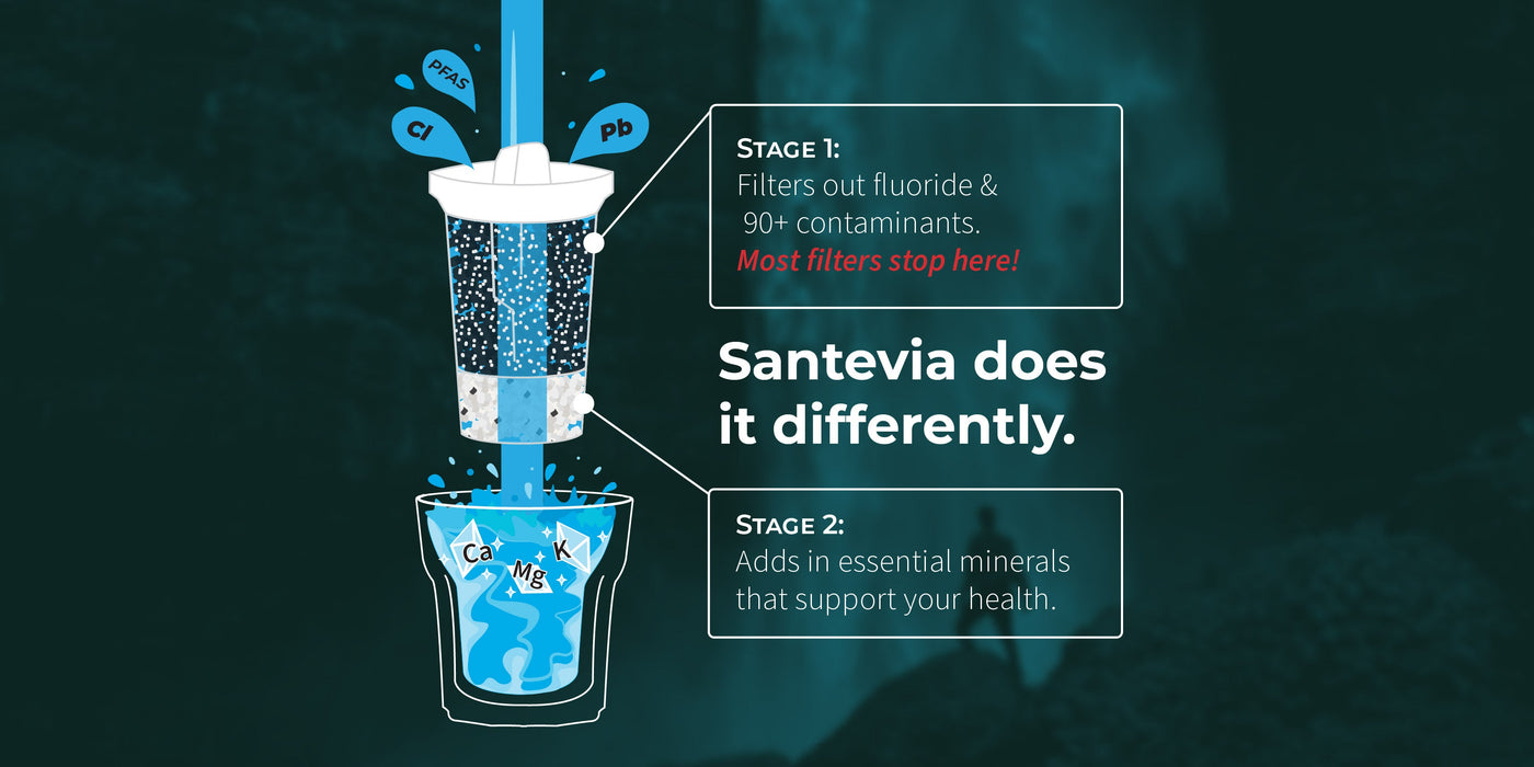 Glass Water System – Santevia US